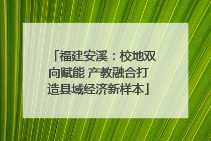 福建安溪：校地双向赋能 产教融合打造县域经济新样本