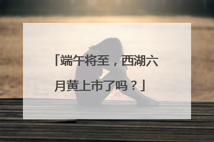 端午将至，西湖六月黄上市了吗？