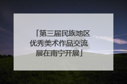 第三届民族地区优秀美术作品交流展在南宁开展