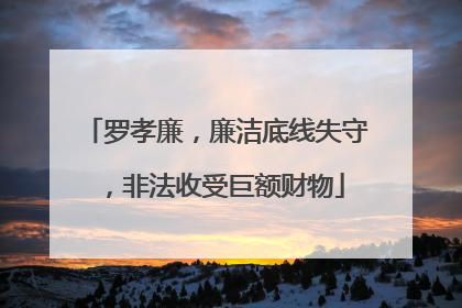 罗孝廉，廉洁底线失守，非法收受巨额财物