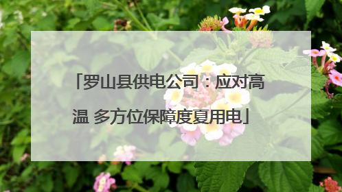 罗山县供电公司：应对高温 多方位保障度夏用电