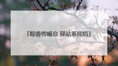 粽香传暖意 驿站系民情