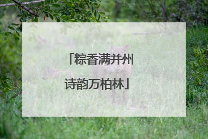 粽香满并州 诗韵万柏林