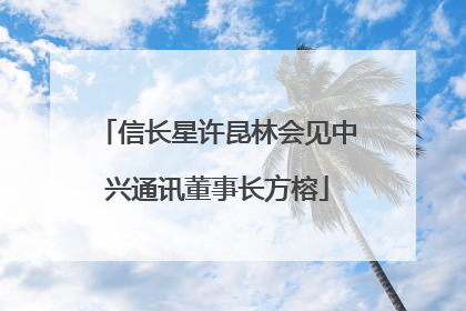 信长星许昆林会见中兴通讯董事长方榕
