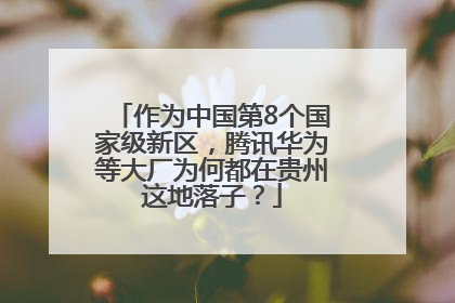作为中国第8个国家级新区，腾讯华为等大厂为何都在贵州这地落子？