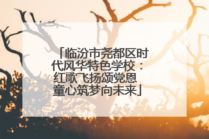临汾市尧都区时代风华特色学校：红歌飞扬颂党恩 童心筑梦向未来