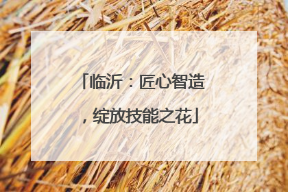 临沂：匠心智造，绽放技能之花
