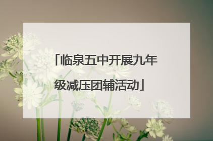 临泉五中开展九年级减压团辅活动