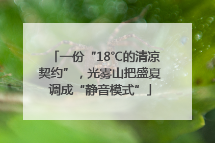 一份“18℃的清凉契约”，光雾山把盛夏调成“静音模式”