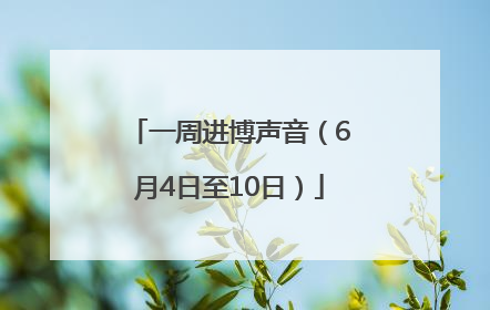一周进博声音（6月4日至10日）
