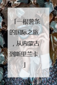 一根薯条的国际之旅，从内蒙古到斯里兰卡