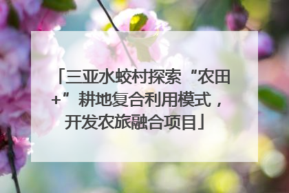 三亚水蛟村探索“农田+”耕地复合利用模式，开发农旅融合项目