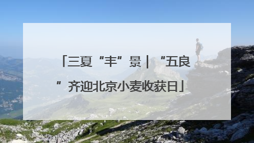 三夏“丰”景｜“五良”齐迎北京小麦收获日