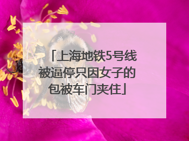 上海地铁5号线被逼停只因女子的包被车门夹住