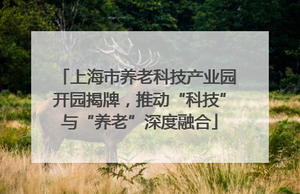 上海市养老科技产业园开园揭牌，推动“科技”与“养老”深度融合