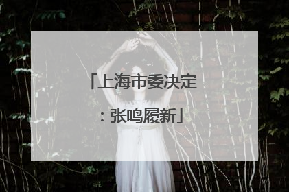 上海市委决定：张鸣履新