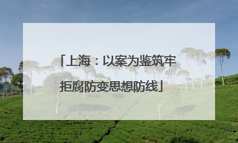 上海：以案为鉴筑牢拒腐防变思想防线
