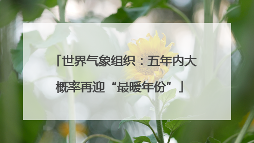 世界气象组织：五年内大概率再迎“最暖年份”