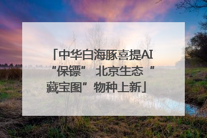 中华白海豚喜提AI“保镖” 北京生态“藏宝图”物种上新