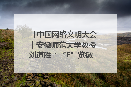中国网络文明大会｜安徽师范大学教授刘道胜：“E”览徽风，构筑中华民族共有精神家园