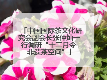 中国国际茶文化研究会副会长张仲灿一行调研“十二月令·非遗茶空间”