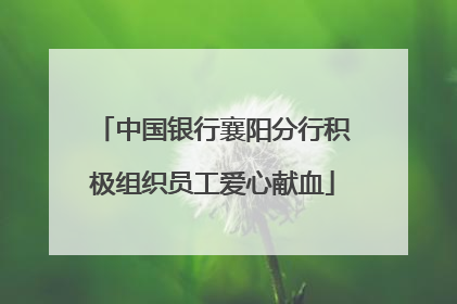 中国银行襄阳分行积极组织员工爱心献血
