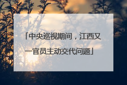 中央巡视期间，江西又一官员主动交代问题