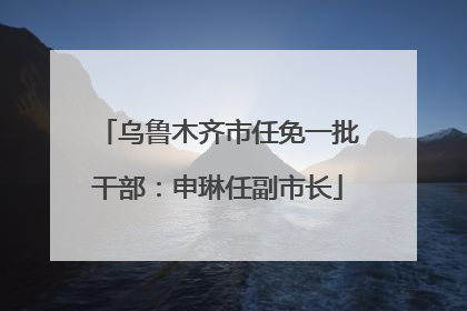 乌鲁木齐市任免一批干部：申琳任副市长