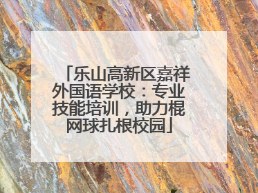 乐山高新区嘉祥外国语学校：专业技能培训，助力棍网球扎根校园