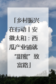 乡村振兴在行动丨安徽太和：西瓜产业铺就“甜蜜”致富路