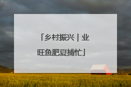 乡村振兴｜业旺鱼肥夏捕忙