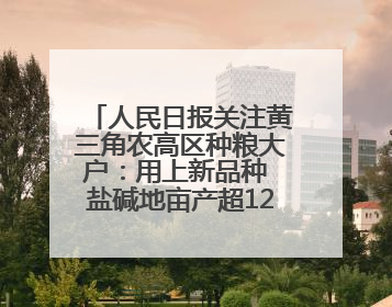 人民日报关注黄三角农高区种粮大户：用上新品种 盐碱地亩产超1200斤