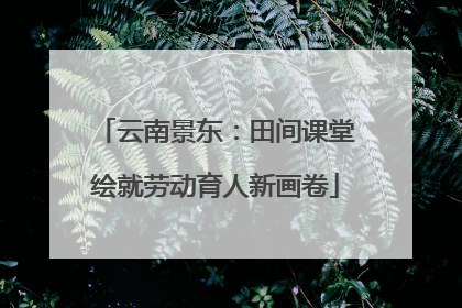 云南景东：田间课堂绘就劳动育人新画卷