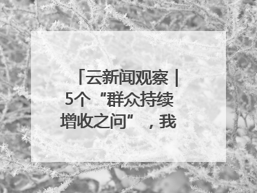 云新闻观察｜5个“群众持续增收之问”，我们如何作答