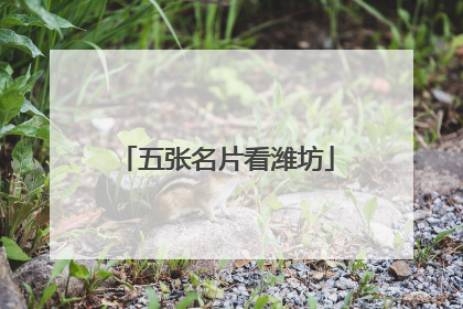 五张名片看潍坊