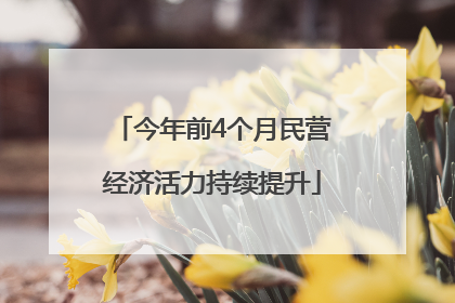 今年前4个月民营经济活力持续提升