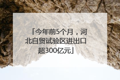今年前5个月，河北自贸试验区进出口超300亿元