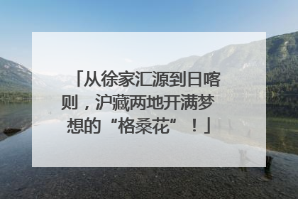 从徐家汇源到日喀则，沪藏两地开满梦想的“格桑花”！