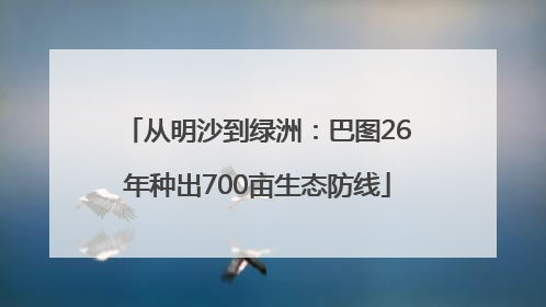 从明沙到绿洲：巴图26年种出700亩生态防线