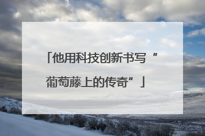 他用科技创新书写“葡萄藤上的传奇”