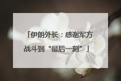 伊朗外长：感谢军方战斗到“最后一刻”