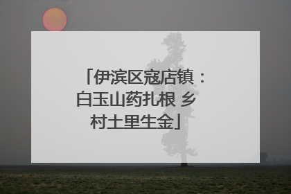 伊滨区寇店镇：白玉山药扎根 乡村土里生金