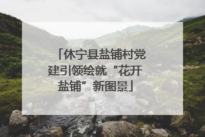 休宁县盐铺村党建引领绘就“花开盐铺”新图景