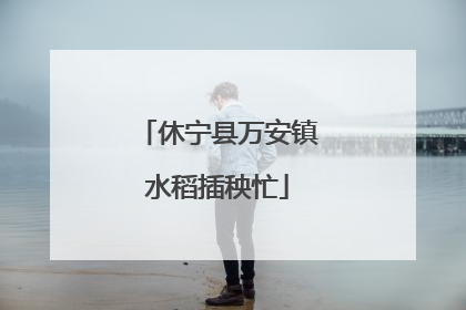 休宁县万安镇水稻插秧忙