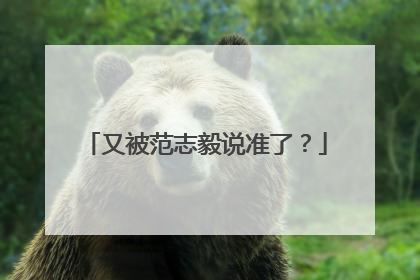 又被范志毅说准了？