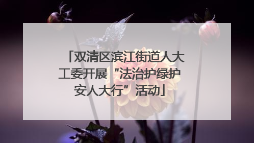 双清区滨江街道人大工委开展“法治护绿护安人大行”活动