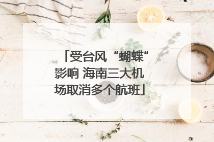 受台风“蝴蝶”影响 海南三大机场取消多个航班