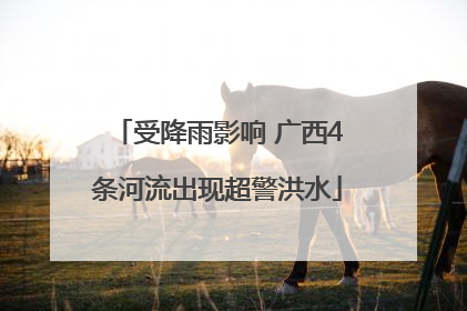 受降雨影响 广西4条河流出现超警洪水