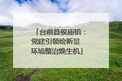 台前县侯庙镇：党建引领绘新景 环境整治焕生机