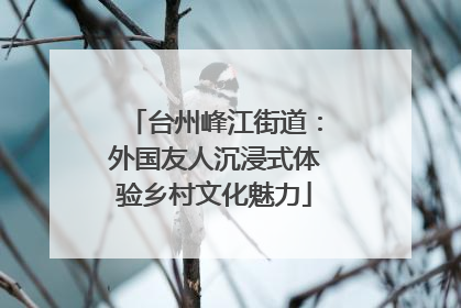 台州峰江街道：外国友人沉浸式体验乡村文化魅力